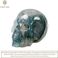 Catrinaz® - Bouchon De Bouteille Premium Avec Tête De Mort - Pierre Naturelle D'agate Moss - Bouchon à Vin - Tête De Mort - Tête De Mort - Coffret Cadeau Luxe - Cadeau Uniek - Cadeau Homme Et Femme 21 Catrinaz® - Bouchon De Bouteille Premium Avec Tête De Mort - Pierre Naturelle D'agate Moss - Bouchon à Vin - Tête De Mort - Tête De Mort - Coffret Cadeau Luxe - Cadeau Uniek - Cadeau Homme Et Femme -Dégustation Délicate 1189x1200 5