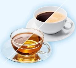 Filtre à Eau BRITA Maxtra+, Cartouches Filtrantes, Compatibles Avec Les Carafes Brita, Qui Réduisent Le Calcaire Et Le Chlore. -Dégustation Délicate 1200x1076 6