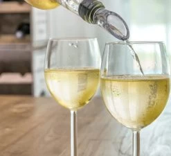 Refroidisseur à Vin 2 En 1 - Aérateur De Vin - Avec Bouchon à Vin - Aspirateur - Carafe à Vin - Accessoires Pour Le Vin - Refroidisseur à Vin -Dégustation Délicate 1200x1094 1