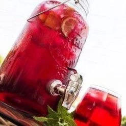 Distributeur De Boisson Froide Glacée Nowi Vintage - 4 L -Dégustation Délicate 1200x1200 1360