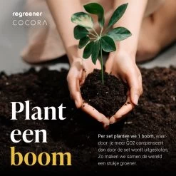 Cocora Martini Set - Ensemble Cocktail 8 Pièces - Or - 2 Verres Martini - Shaker Cocktail - Guide Martini 20 Cocora Martini Set - Ensemble Cocktail 8 Pièces - Or - 2 Verres Martini - Shaker Cocktail - Guide Martini -Dégustation Délicate 1200x1200 1424