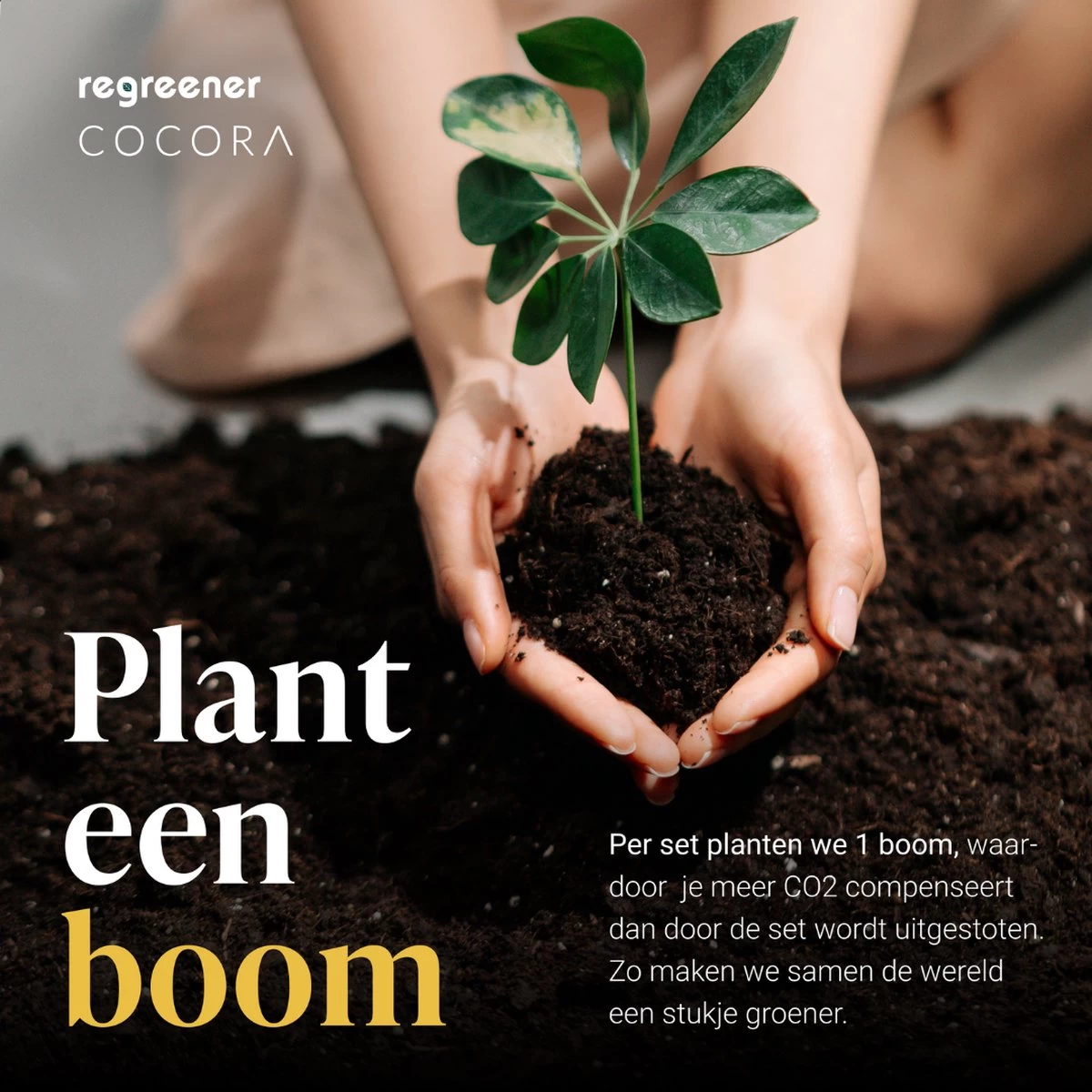 Cocora Martini Set - Ensemble Cocktail 8 Pièces - Or - 2 Verres Martini - Shaker Cocktail - Guide Martini 11 Cocora Martini Set - Ensemble Cocktail 8 Pièces - Or - 2 Verres Martini - Shaker Cocktail - Guide Martini – Image 9