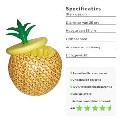 Cheqo® Seau à Glace - Refroidisseur à Boisson Opblaasbaar - Porte-Boisson - Refroidisseur à Bouteille - Refroidisseur à Vin - Ø25cm - Ananas Opblaasbaar - Hauteur 33cm -Dégustation Délicate 1200x1200 1612