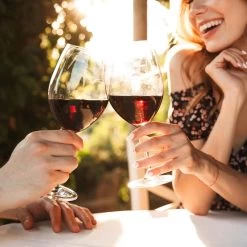 Relaxdays 10 X Levier Tire-bouchon - Ouvre-bouteille - Ouvre-bouteille à Vin - Ouvre-bière - Argent -Dégustation Délicate 1200x1200 866