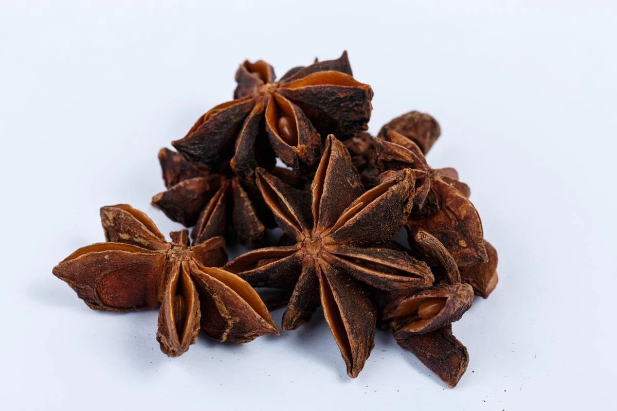 Partybox Te Tonic 24 Infusions Et 8 Plantes Pour Préparer Des Cocktails à Base De Gin Et Tonic. Les Herbes Sont Spécialement Sélectionnées Pour Le Gin 16 Partybox Te Tonic 24 Infusions Et 8 Plantes Pour Préparer Des Cocktails à Base De Gin Et Tonic. Les Herbes Sont Spécialement Sélectionnées Pour Le Gin – Image 14