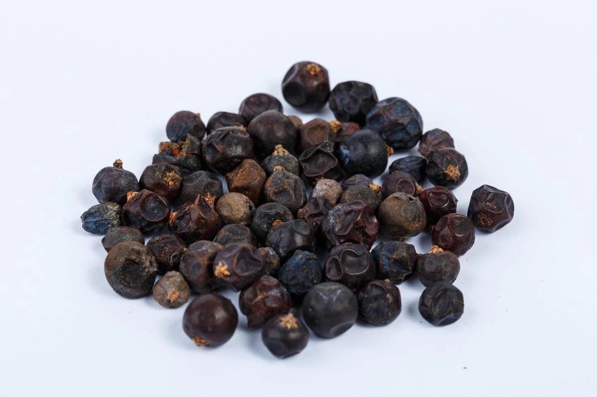 Partybox Te Tonic 24 Infusions Et 8 Plantes Pour Préparer Des Cocktails à Base De Gin Et Tonic. Les Herbes Sont Spécialement Sélectionnées Pour Le Gin 19 Partybox Te Tonic 24 Infusions Et 8 Plantes Pour Préparer Des Cocktails à Base De Gin Et Tonic. Les Herbes Sont Spécialement Sélectionnées Pour Le Gin – Image 17