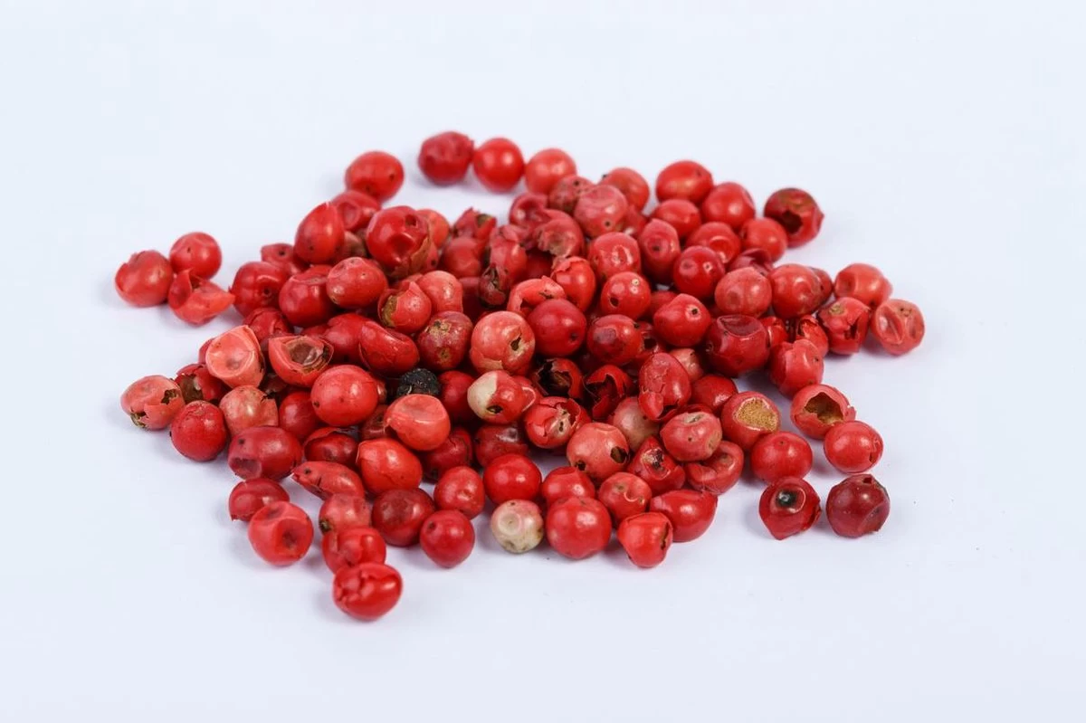 Partybox Te Tonic 24 Infusions Et 8 Plantes Pour Préparer Des Cocktails à Base De Gin Et Tonic. Les Herbes Sont Spécialement Sélectionnées Pour Le Gin 20 Partybox Te Tonic 24 Infusions Et 8 Plantes Pour Préparer Des Cocktails à Base De Gin Et Tonic. Les Herbes Sont Spécialement Sélectionnées Pour Le Gin – Image 18