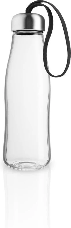 Eva Solo 575040 Gourde Utilisation Quotidienne 500 Ml Verre Borosilicate, Nylon, Plastique, Acier Inoxydable Transparent