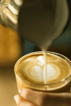 Mousseur à Lait INTER-CAFFÈ® - Mousseur à Lait électrique - Mousseur à Lait Manuel - Mousseur à Lait électrique - Rechargeable Avec Câble De Charge USB - Zwart - Garantie 1 An -Dégustation Délicate 800x1200 4