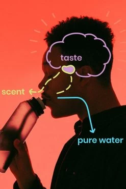 Air Up 3er Packket Pods - Saveur Pêche - Pour Aromatiser Water, 0 Sucre, 0 Calorie -Dégustation Délicate 800x1200 72