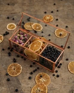 Giftbox Small (mix 2) 3 Plantes Pour Gin & Tonic Dans Une Belle Boîte En Verre. Cadeau Perfect Pour Tout Amateur De Gin.